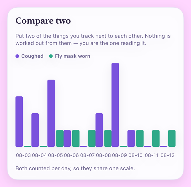 A bar chart headed Compare two, with purple bars for coughs and green bars for fly mask worn across ten days, side by side on one scale.