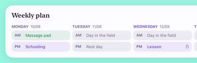 The start of a week laid out as columns, one per day, on a wide screen